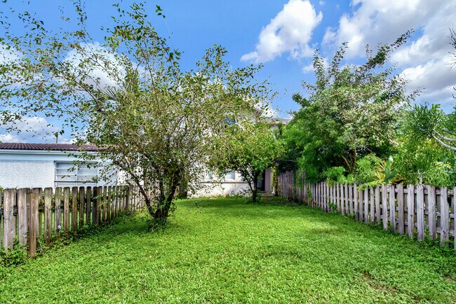 Back Yard - 2215 Liberty St