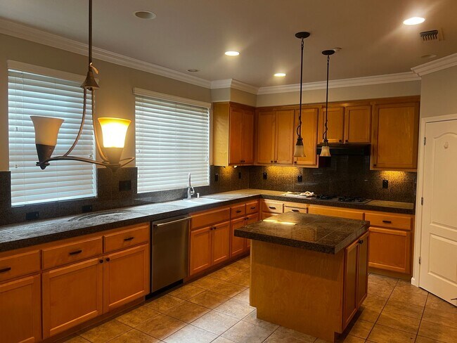 Foto del edificio - Large, Beautiful Shadow Lakes Home in Court Location