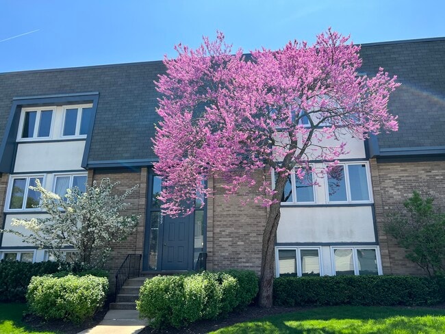 Building Photo - 2009 Ammer Ridge Ct