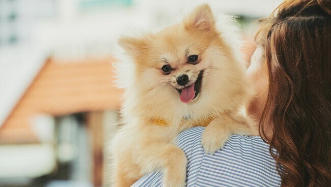 Foto del edificio - Go bananas, Studio