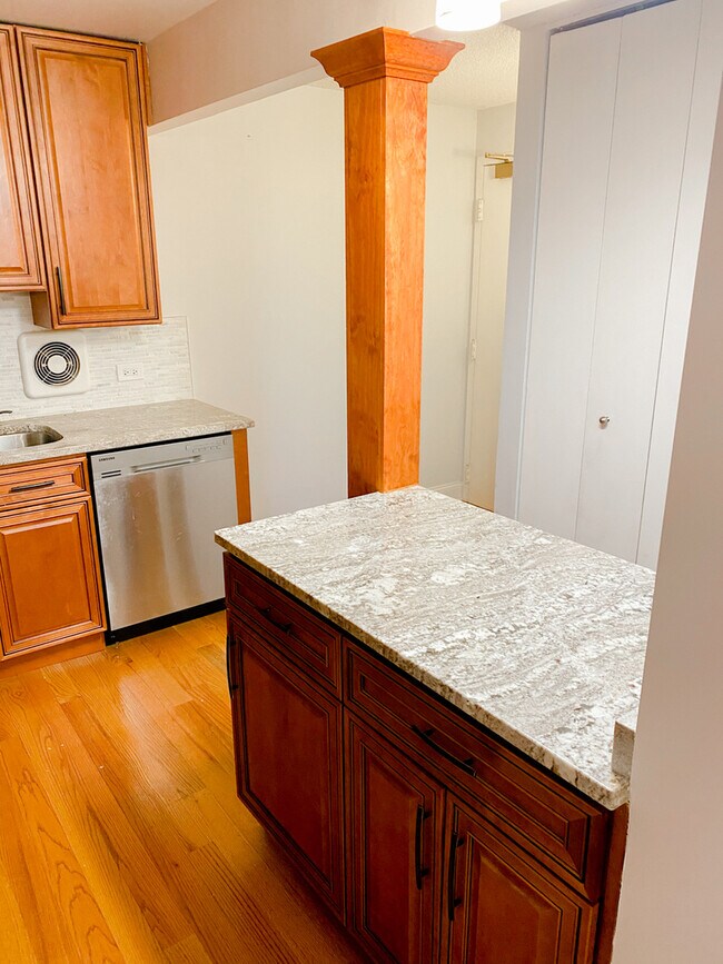 1250 N La Salle Dr, Chicago, IL 60610 House Rental in Chicago, IL