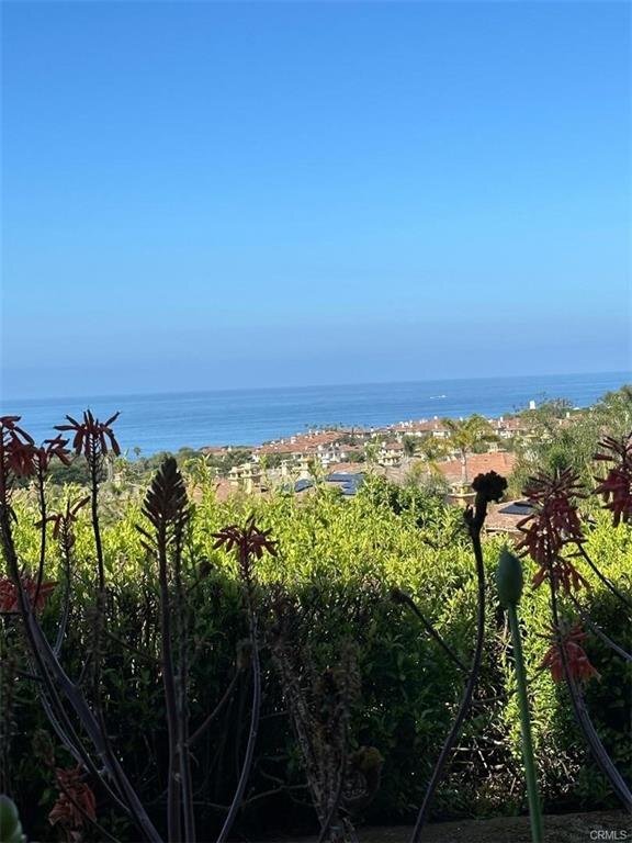 38 Corniche Dr, Dana Point, CA 92629 Condo for Rent in Dana Point, CA