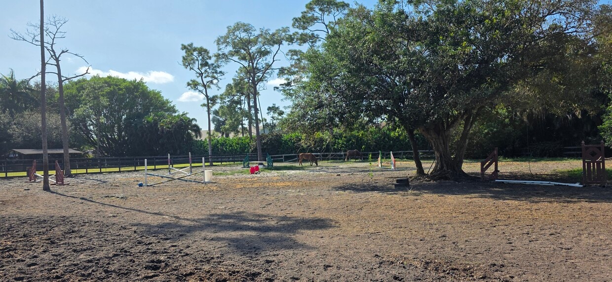 Yard - 5406 Godfrey Rd