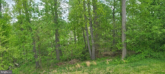 Building Photo - 4506 Nightingale Ct