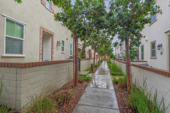 Walk Way - 3250 E Yountville Dr