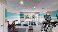 Located in the Wellington neighborhood of Lexington, Kentucky, this fitness center is a single-floor facility designed to support a comprehensive workout experience. The space is visually defined by a bold horizontal striped accent wall in teal, gray, and white, which runs throughout the room and lends a modern, energetic atmosphere. Recessed lighting in a textured ceiling provides consistent, even illumination across the entire space, complemented by natural light streaming through large sliding glass doors and windows that overlook an outdoor deck area with greenery beyond.

The cardio zone is well-stocked with multiple treadmills, elliptical cross-trainers, and a stationary cycle, all arranged to maximize floor space and visibility toward the outdoor view. Durable carpet tile flooring and protective rubber mats beneath each machine add both comfort and practicality. A wall-mounted mirror near the center of the room enhances the sense of space and supports form-checking during workouts.

A dedicated functional training area houses a freestanding rack stocked with stability balls in multiple sizes, resistance bands, medicine balls, and foam rollers, alongside a dumbbell rack with a range of free weights. An adjacent glass-paneled room visible through the space appears to serve as a separate office or studio area, adding further versatility to this well-rounded fitness facility.