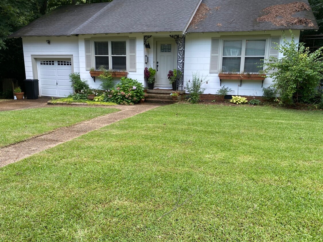 Primary Photo - 543 Overstreet Dr