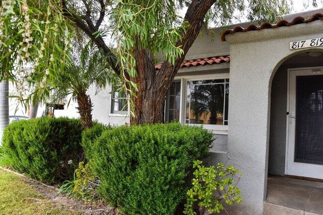 Palm (817-819) - Palm (817-819) Apartment