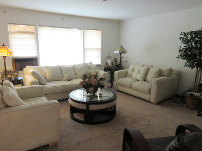 Living Room - 1049 David Dr