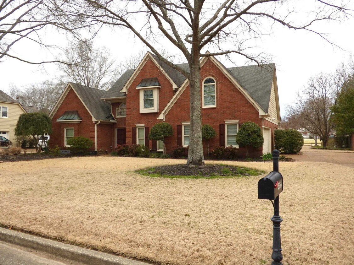 2555 Dibrell Trail Dr, Collierville, TN 38017 House Rental in