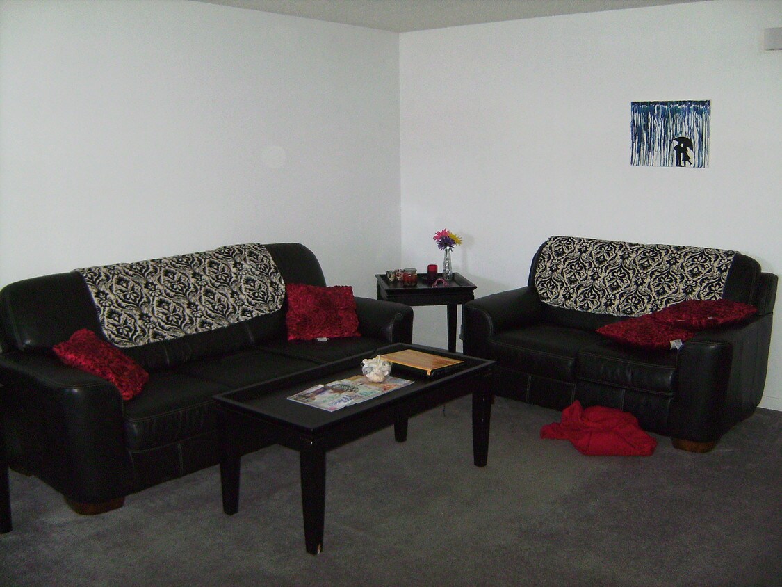 Living Room - 301 S Mulberry St