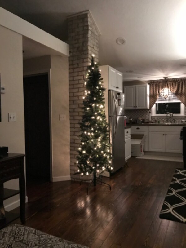 59 Bon St, Hesperia, MI 49421 House Rental in Hesperia, MI