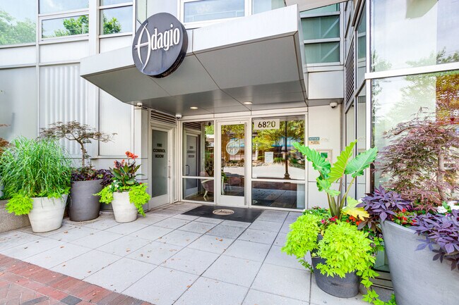 Bienvenido a Agadio! - 6820 Wisconsin Ave