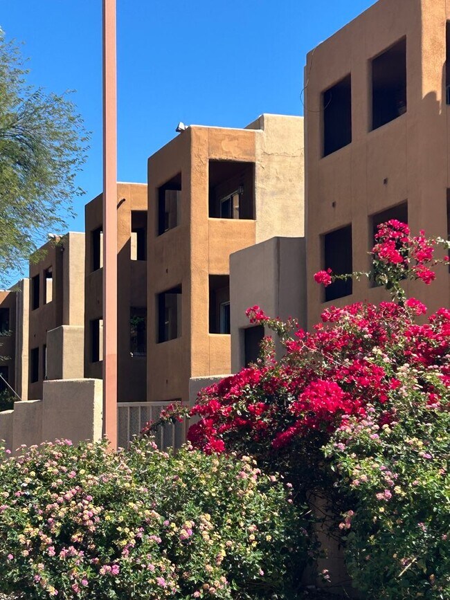 Foto del edificio - 1810 E Blacklidge Dr