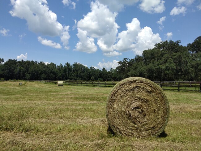 Horses OK $300/mo/horse - 8035 NW 120th St