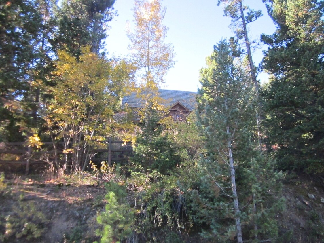 Primary Photo - A-Frame Nederland Mountain Home W/ Awesome...