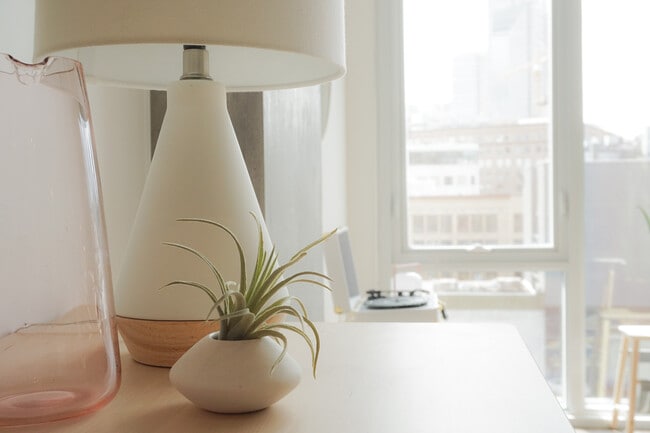 Building Photo - Couch9