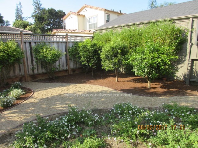 Foto del edificio - 1141 Willow Glen Way
