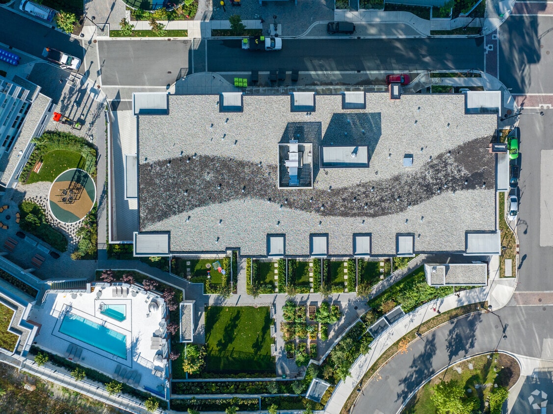 Primary Photo - Rent Suter Brook