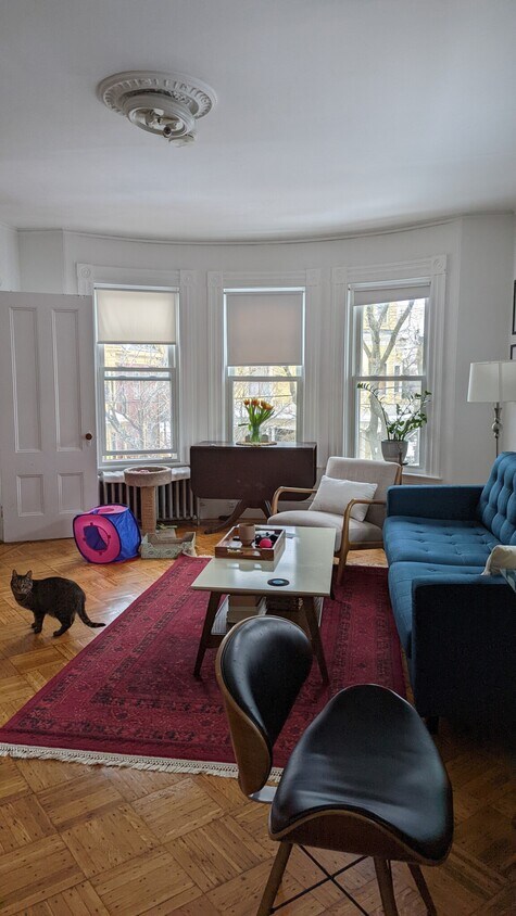 Primary Photo - 33 Garfield St