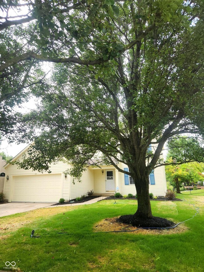 Foto del edificio - 924 Thornwood Dr