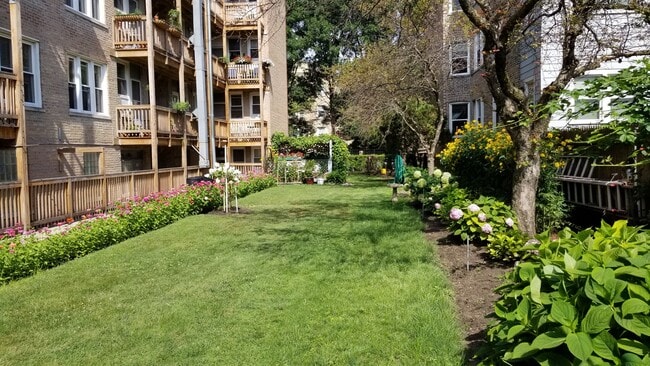 Yard - 1911 W Winnemac Ave