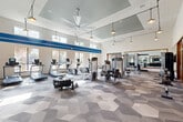 Located at 2926 Barker Cypress Rd in Houston, TX, this expansive fitness center offers a generously sized, single-floor layout designed to accommodate a full range of workout routines. The space is defined by soaring ceilings with a recessed tray detail in the main exercise area, complemented by large pendant lights and an oversized ceiling fan that contribute to a bright, airy atmosphere. A bold blue accent stripe runs along the upper walls, adding a dynamic visual element to the clean, modern interior. Geometric-patterned carpet tiles in varying shades of gray cover the floors throughout, providing both comfort and style. Floor-to-ceiling windows along multiple walls flood the space with natural light and offer views of the surrounding landscaped grounds, including palm trees. The main workout floor is outfitted with a comprehensive selection of cardio equipment — including treadmills, ellipticals, and stationary bikes — alongside a full suite of selectorized strength machines and free weights. A dedicated spin studio houses a row of Spinning bikes, a wall-mounted flat-screen TV, and a dumbbell rack. Large wood-framed mirrors are strategically placed throughout to enhance the sense of space. A functional training zone features a multi-use rig, adjustable bench, resistance accessories, and stability equipment, rounding out this well-appointed facility.