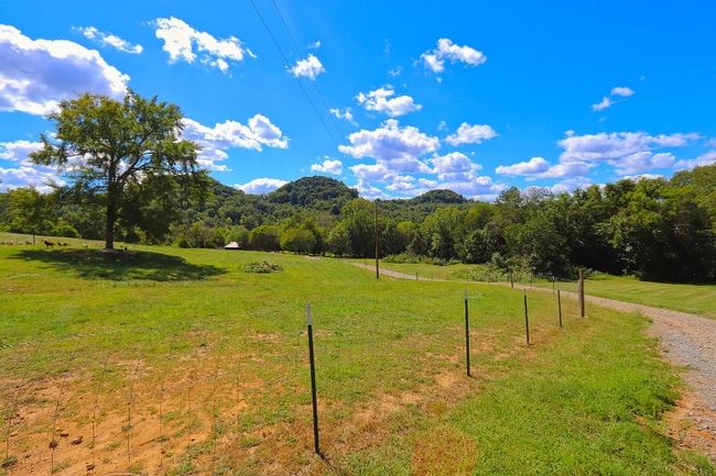 Building Photo - 333 Little Salt Lick Rd