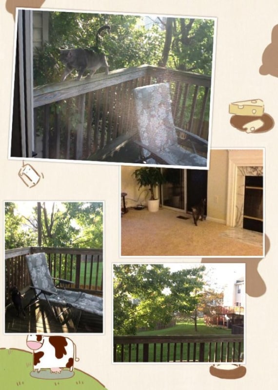 Building Photo - 7820 Greenbrook Dr