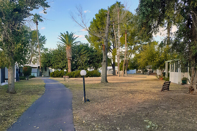 Building Photo - Carefree Village Estates