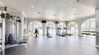 Located at 7315 W Hanna Avenue in Tampa, Florida, this single-floor fitness center is a well-appointed community amenity designed to support a full range of workout routines. The space is defined by its striking architectural character, most notably a series of large, arched windows that line the walls and flood the interior with abundant natural light. These oversized arches also frame views of the outdoor pool area and surrounding palm trees, creating an inviting, resort-like atmosphere throughout.

The fitness center is equipped with a comprehensive selection of cardio machines, including multiple treadmills and elliptical trainers, positioned to take full advantage of the poolside views. A multi-station cable strength machine anchors the strength training area, complemented by a full rack of dumbbells for free weight exercises. Stability balls and additional accessories round out the functional training options.

Full-length mirrors along one wall visually expand the space and provide useful feedback during workouts. Wall-mounted televisions are strategically placed throughout for entertainment. Recessed lighting and crown molding add a polished finish to the textured walls. A water cooler is conveniently available on-site. The arched entry door provides direct access to the exterior, connecting seamlessly to the outdoor amenity area.