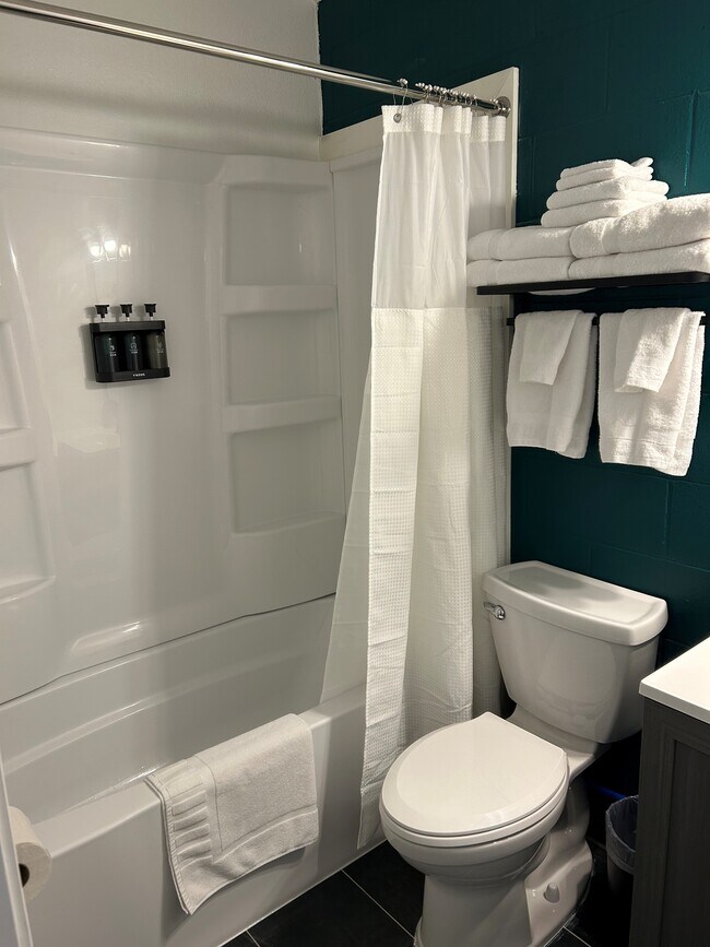 Bathroom - 403 S Robinson Ave