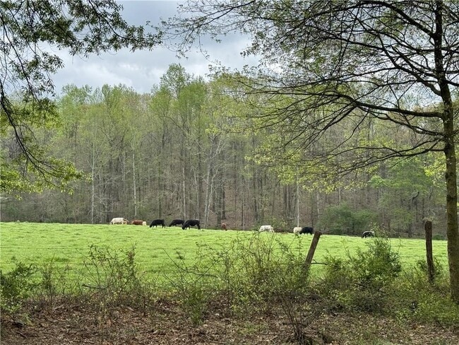 Foto del edificio - 1727 Oak Grove Church Rd