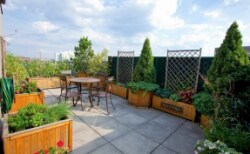 Building Photo - 2 bedroom in Brookline MA