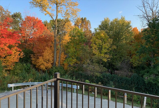 Foto del edificio - 916 Yorkshire Ln