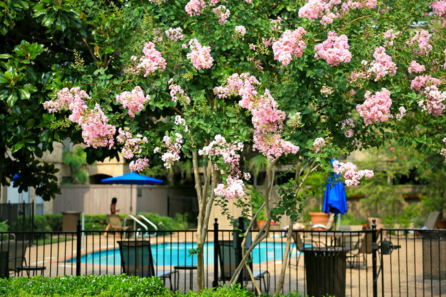 Relájate en una de las tres piscinas estilo centro turístico. - Towne Plaza