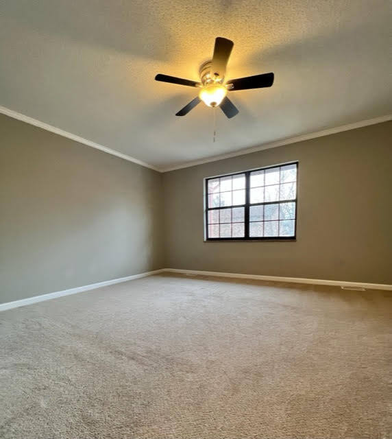 Bedroom - 810 Highland Dr