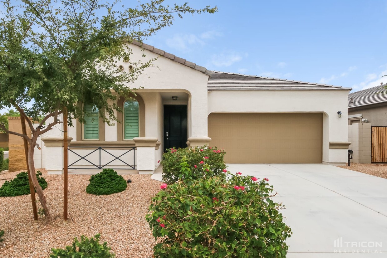 Primary Photo - 41316 W Crane Drive Maricopa AZ