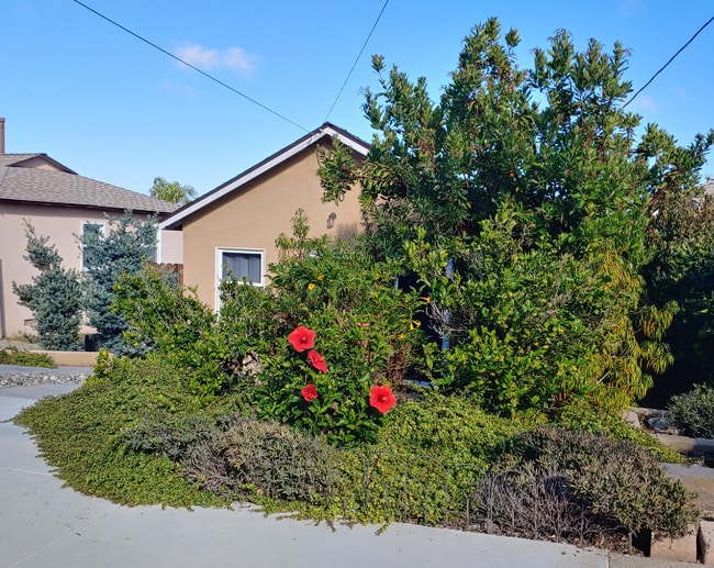 Building Photo - 1540 Wollacott St