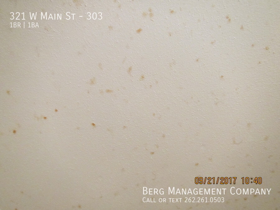 Primary Photo - Large one bedroom downtown Waukesha