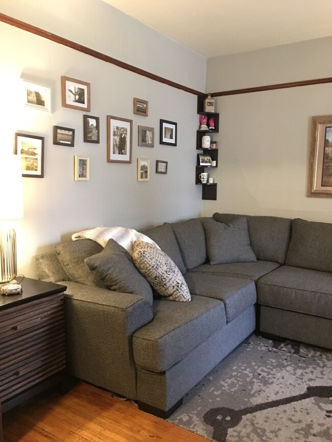 Living room with Ikea auto shades - 547 E Dover St