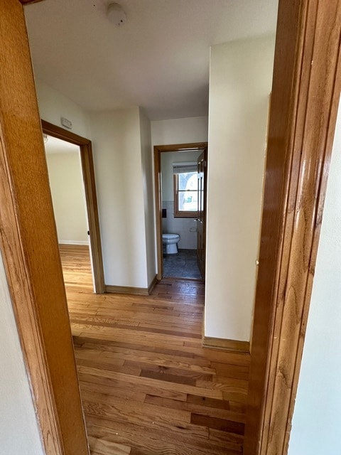 Building Photo - 3808 Vera Cruz Ave N