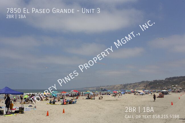 Foto del edificio - Gorgeous and Bright 2 BR in La Jolla Shore...