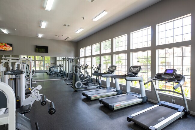 Gimnasio - Memorial Heights