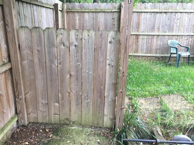 The gate private yard and diveway - 141 Hoover St