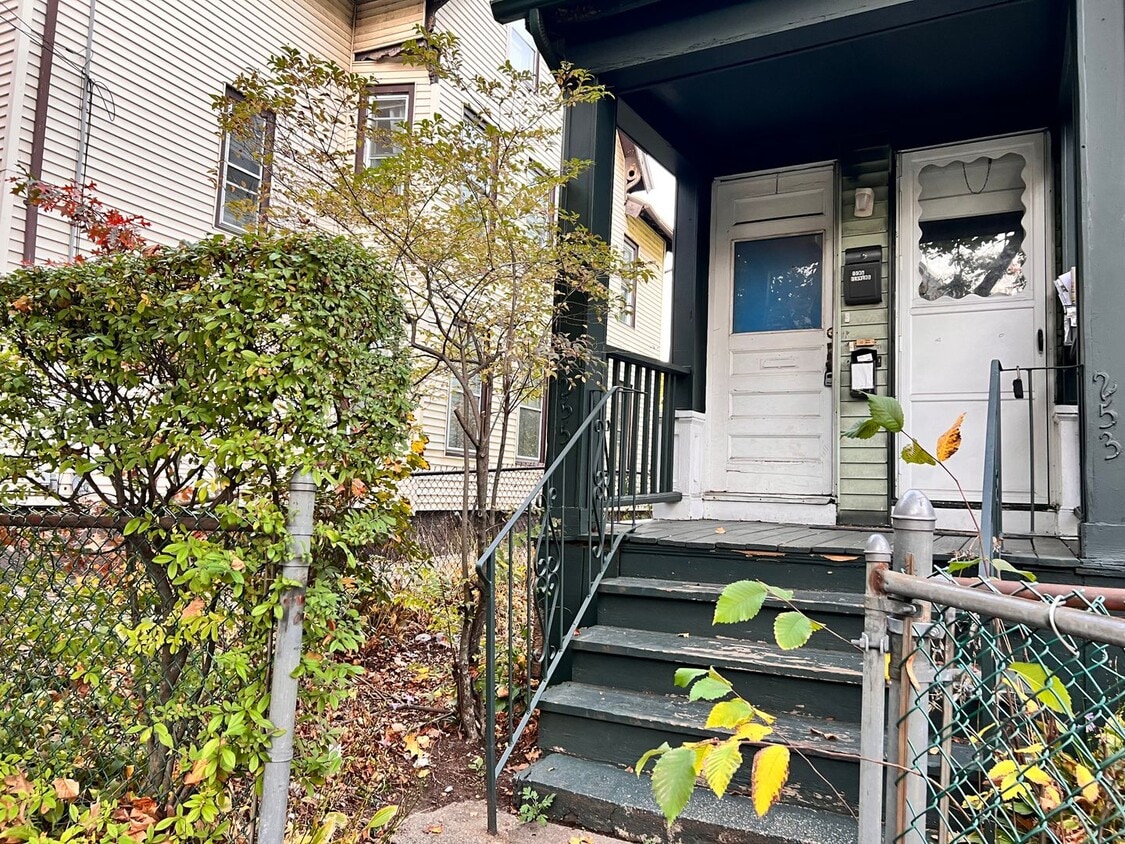 Primary Photo - 255-255 Orchard St