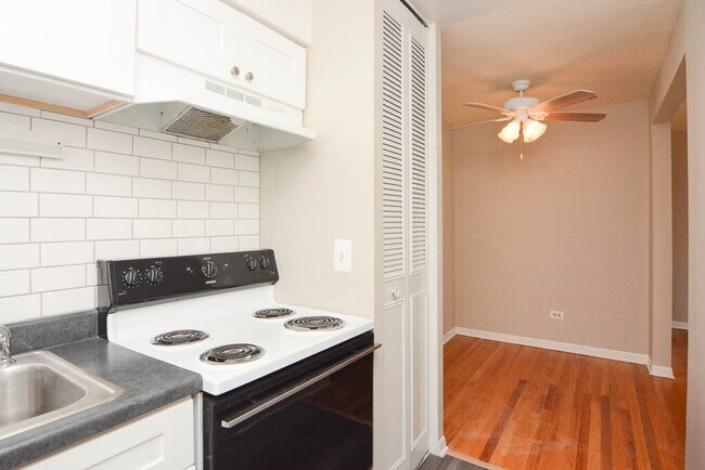 Building Photo - 541 W Briar Pl