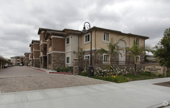 Building Photo - Citrus Grove Apartments