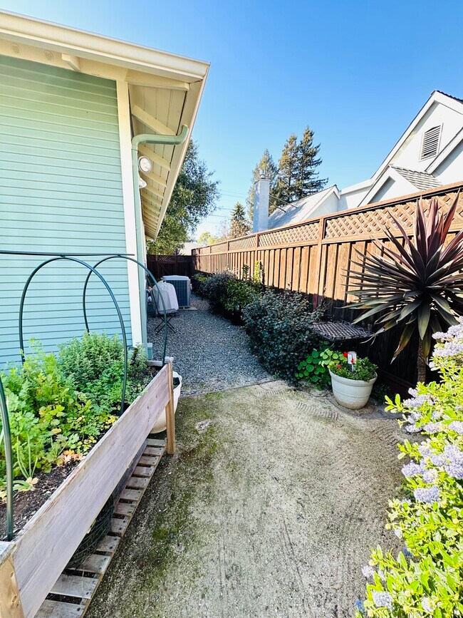 Patio trasero - 504 Montgomery St