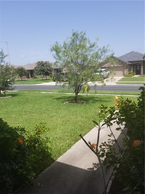 Building Photo - 2545 Las Brisas St
